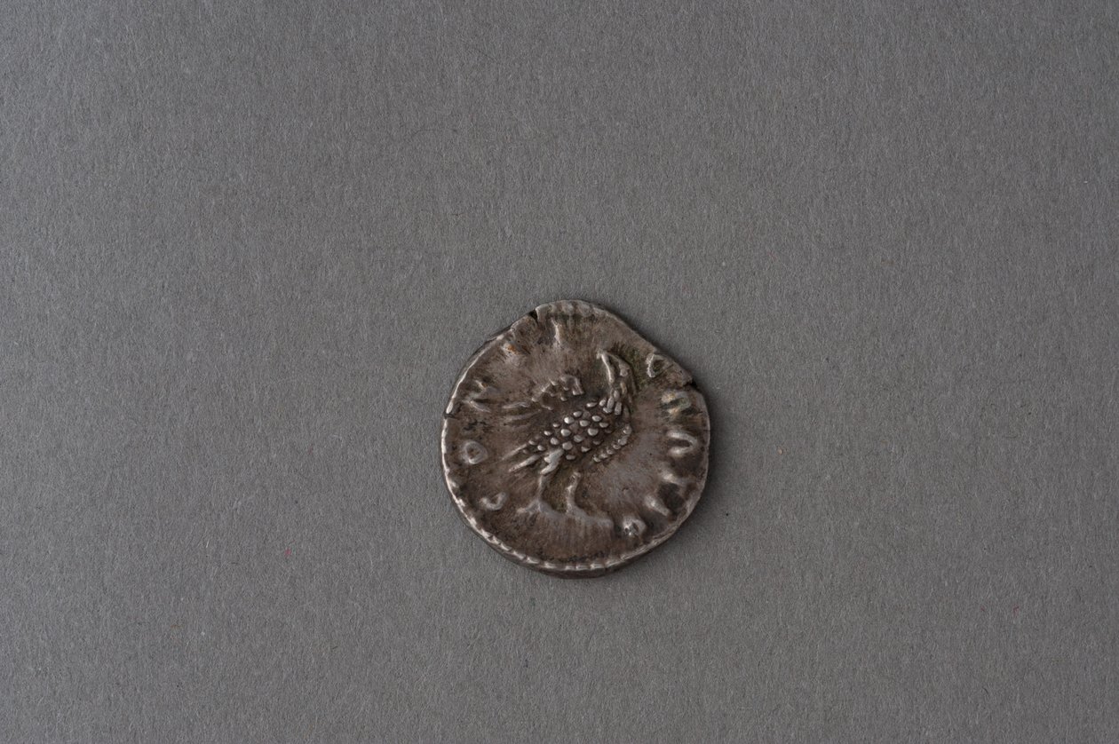 Denarius av Antoninus Pius (sølv) av Roman