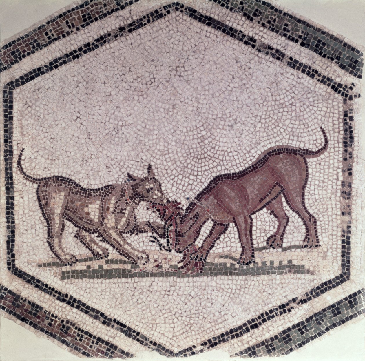 Hunder som kjemper for en fugl, romersk, 2.-3. århundre (mosaikk) av Roman