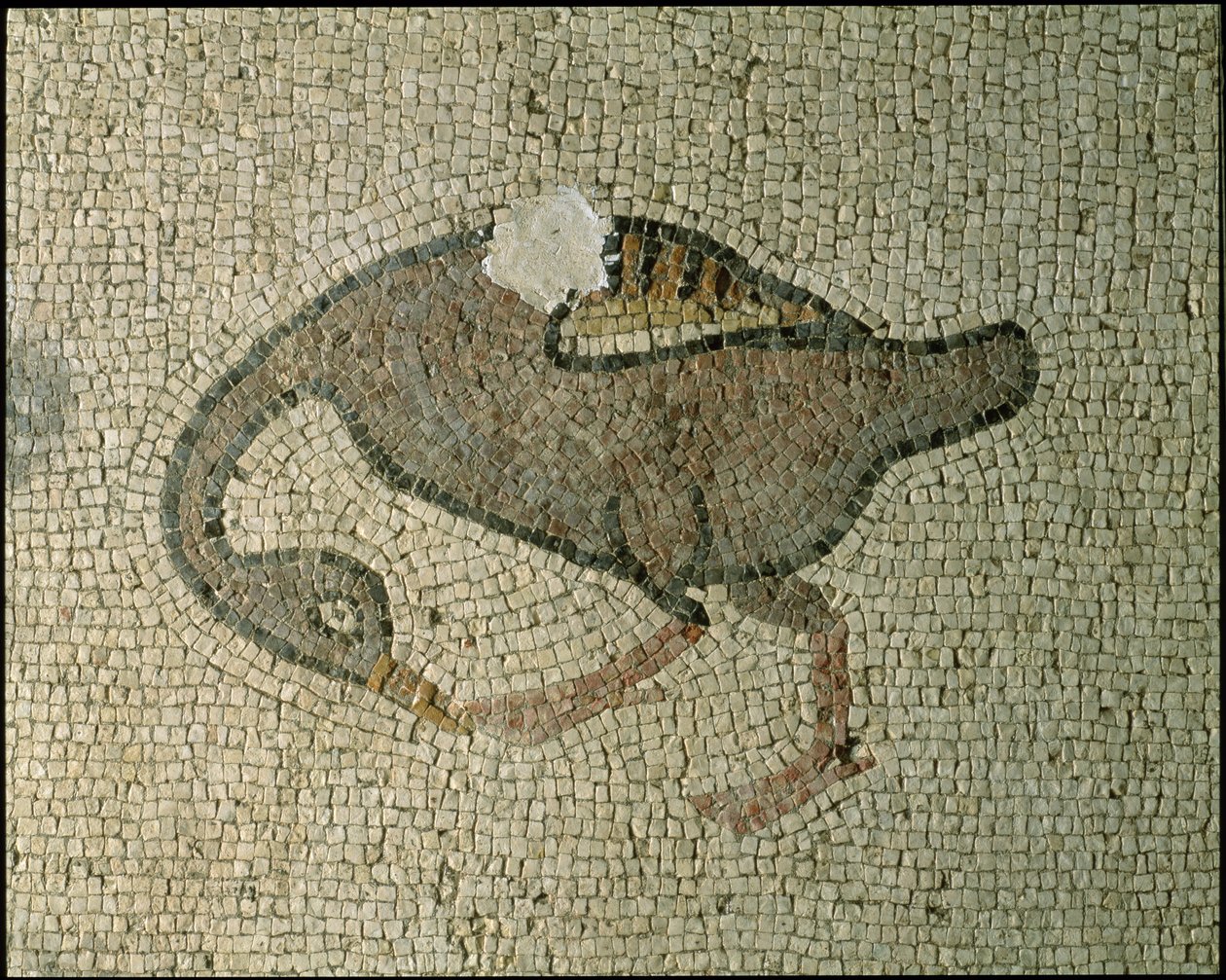 Gulvet i en basilika (mosaikk) av Roman