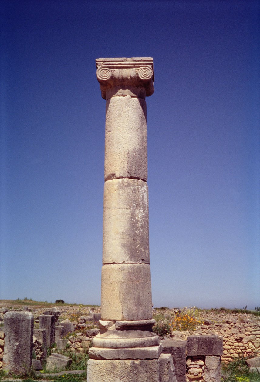 Ionisk søyle på Decumanus Maximus av Roman