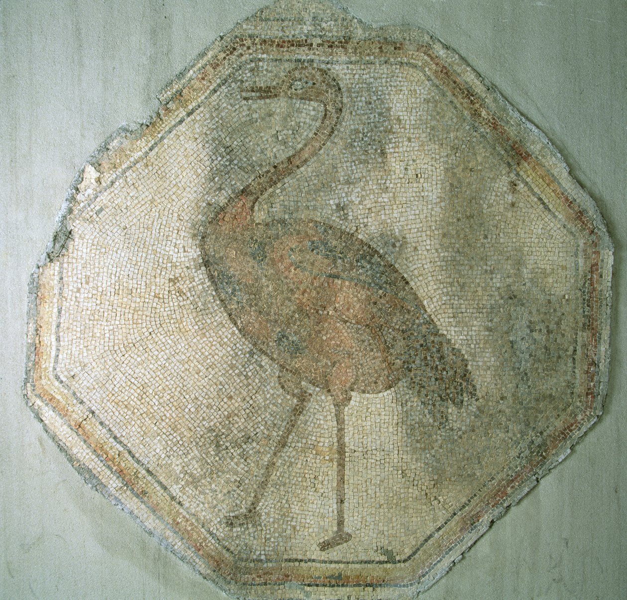 Mosaikk som viser en struts, fra Salkim, Tyrkia av Roman