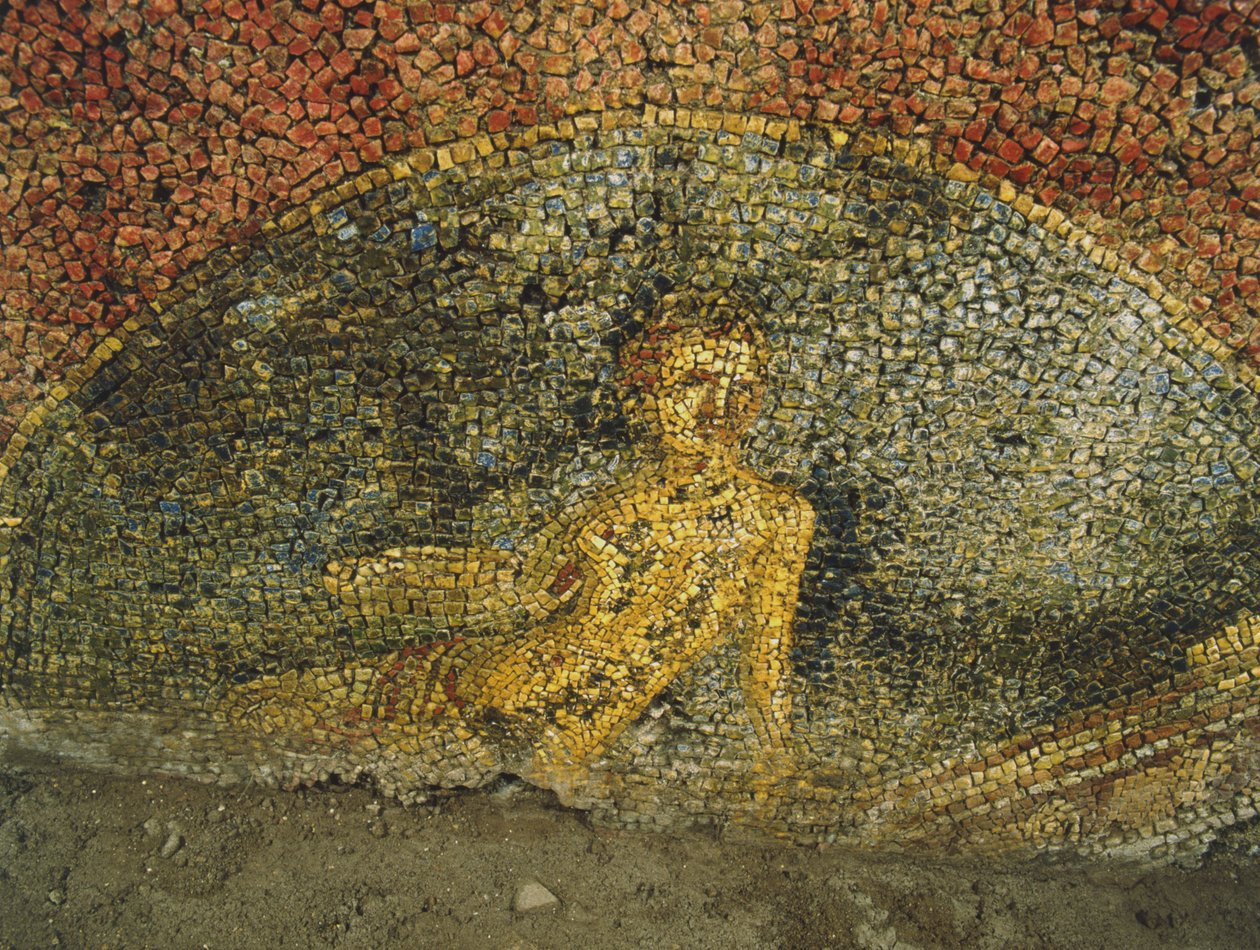Mosaikk fra en gammel bygning under brakkene til Cuirassiers ved Quirinale, Roma (mosaikk) av Roman