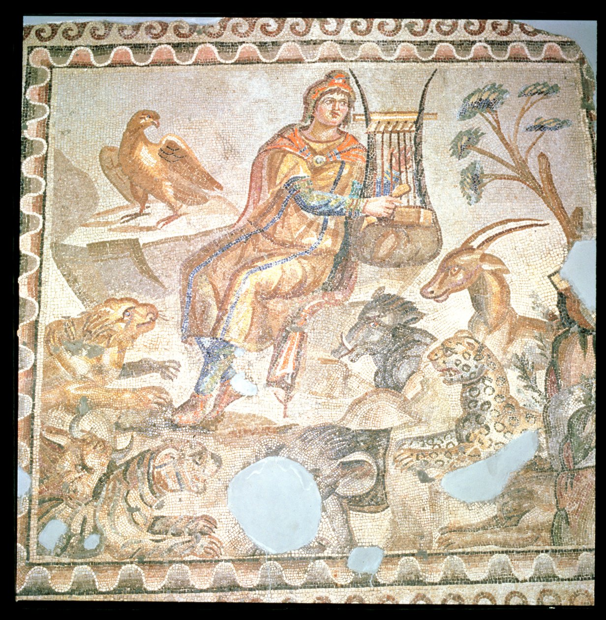 Orfeus leker for dyrene, romersk mosaikk (mosaikk) av Roman