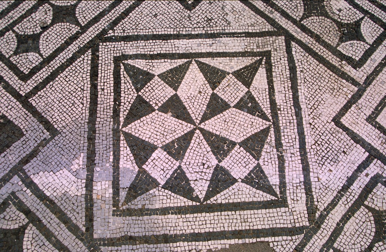 Mønstret gulv (mosaikk) av Roman