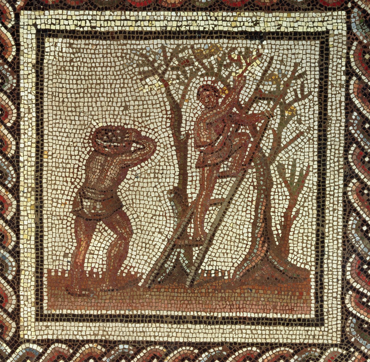 Plukke frukt, romersk mosaikk fra Saint-Romain-en-Gal, Frankrike, 200-225 e.Kr. av Roman