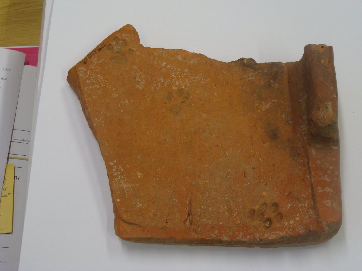 Romersk flis med kattefotavtrykk (keramikk) av Roman