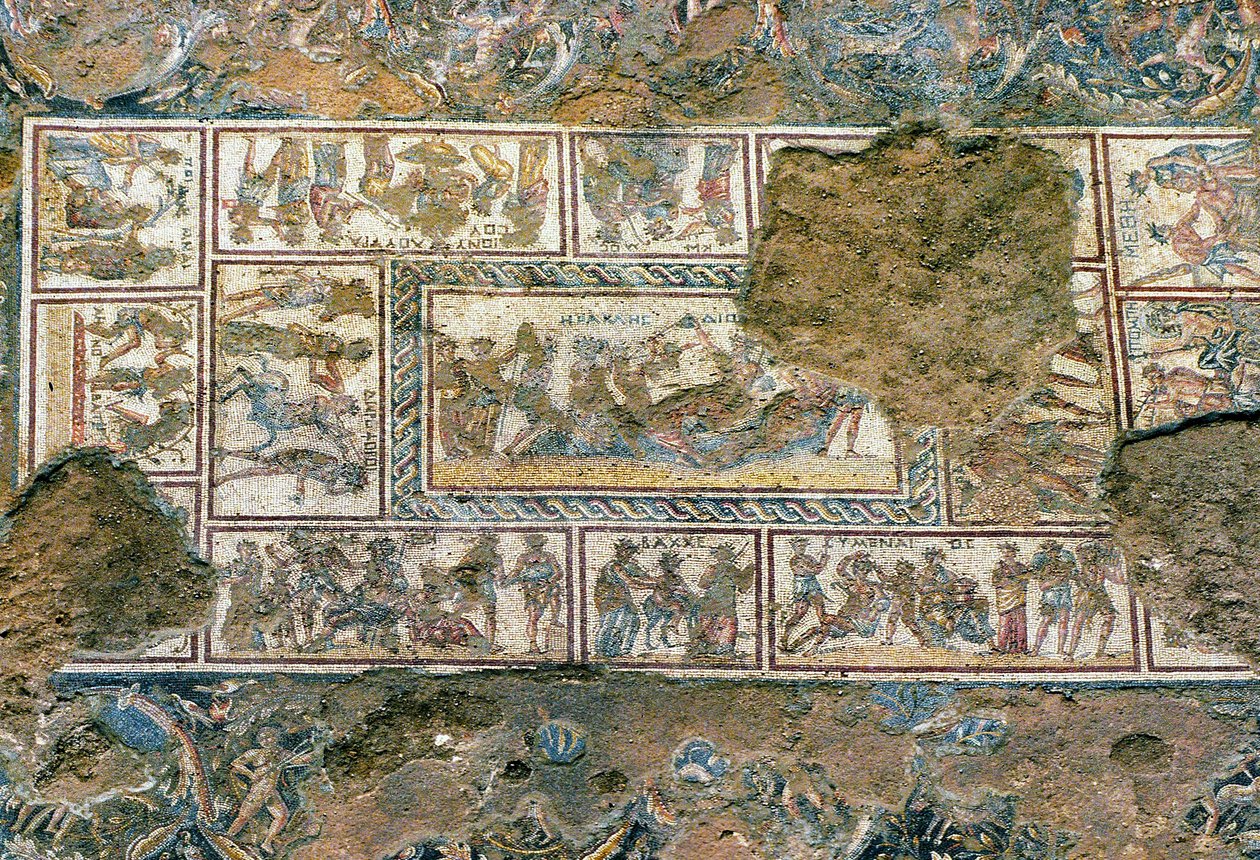 Sepphoris mosaikk, Tzippori av Roman