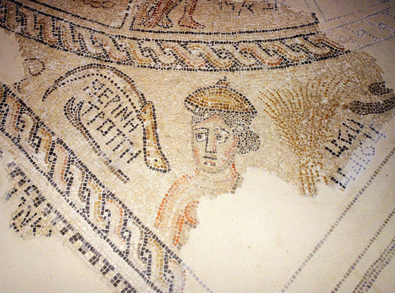 Sepphoris mosaikk, Tzippori (mosaikk) av Roman