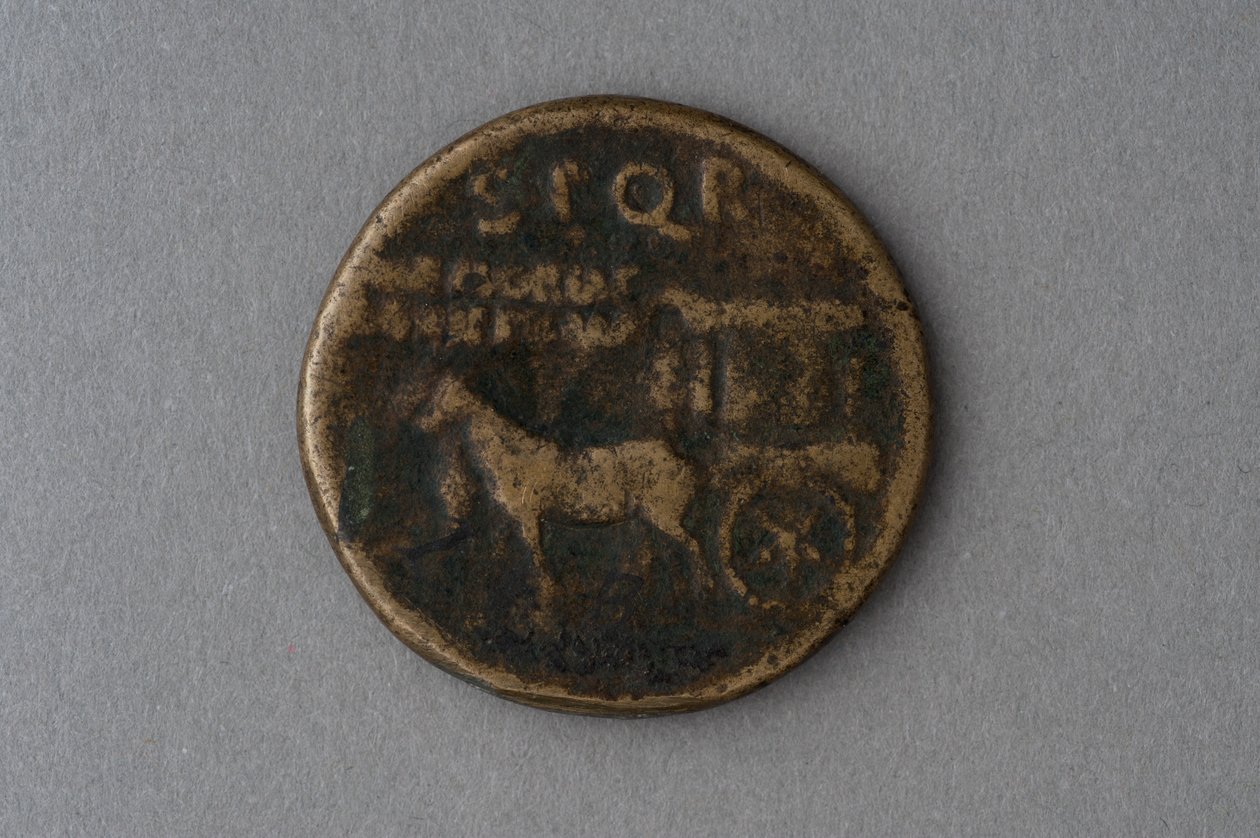 Sestertius av Agrippina Major (bronse) av Roman