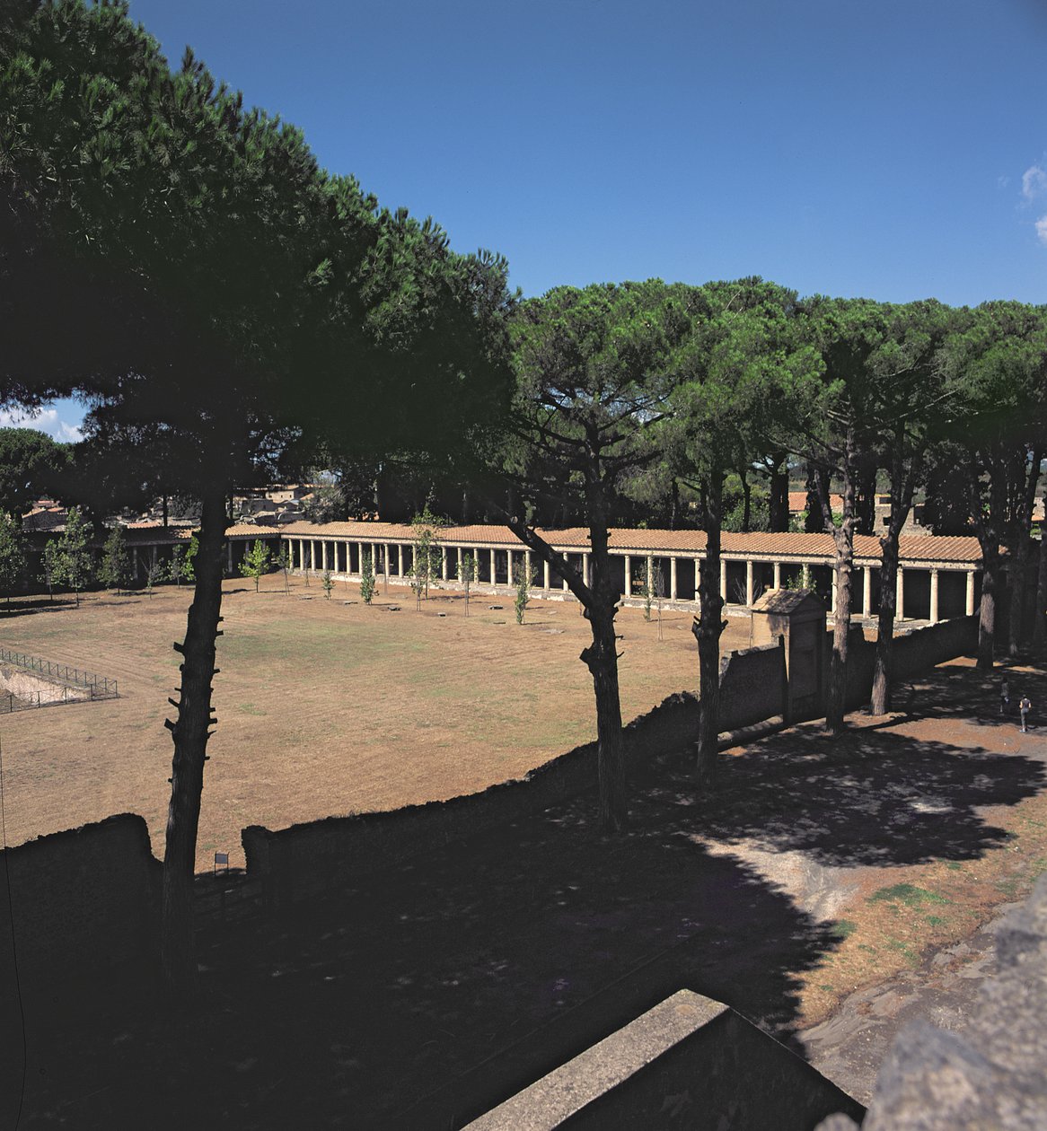 Det store Palaestra av Roman