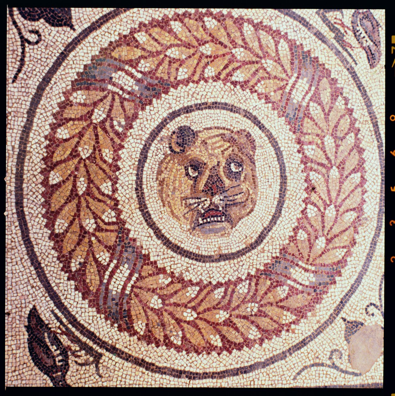 Tigerhode, romersk mosaikk, tidlig på 400-tallet (mosaikk) av Roman