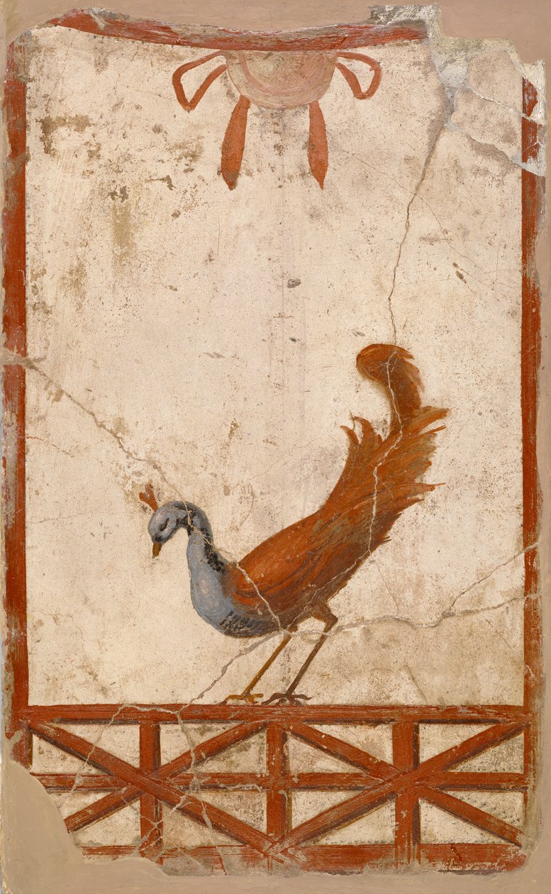 Veggfragment med påfugl, 1. århundre av Roman