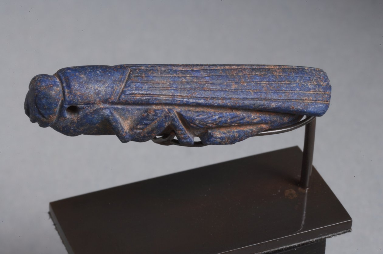 Nærøstlig amulett av en gresshoppe (lapis lazuli) av Roman Imperial Period