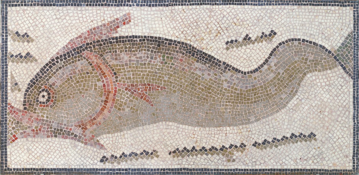 Delfin, fra Tunis, 3.-5. århundre e.Kr. (mosaikk) av Roman Roman