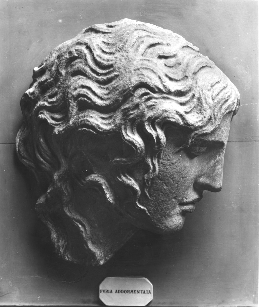 Hodet for et sovende raseri eller Medusa som dør av Roman Roman