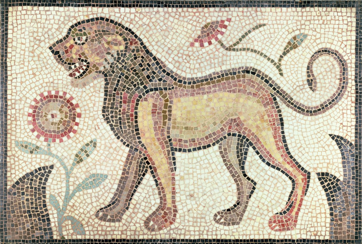 Løve, fra Tunis, sannsynligvis sent på 500-tallet e.Kr. (mosaikk) av Roman Roman