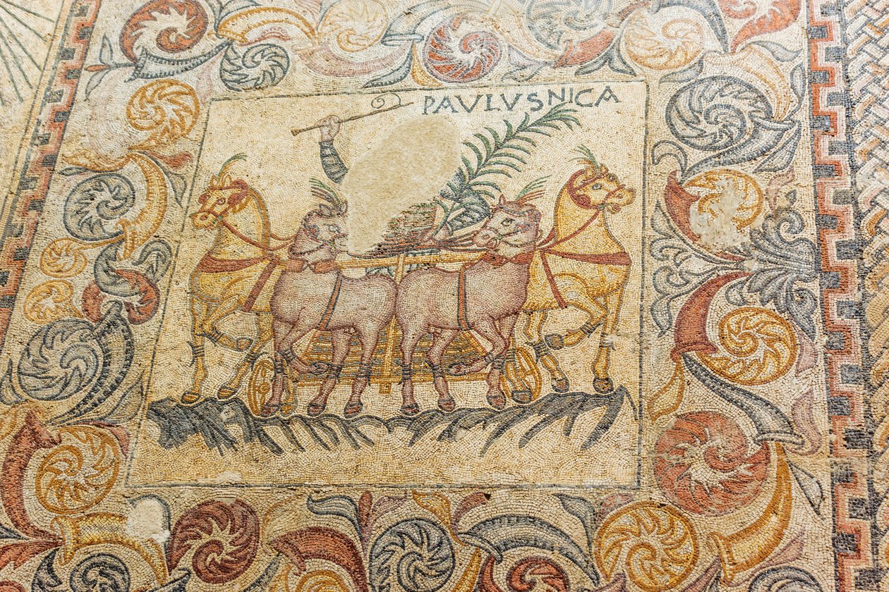 Mosaikker som viser vognfører som kjører fire hester av Roman Roman