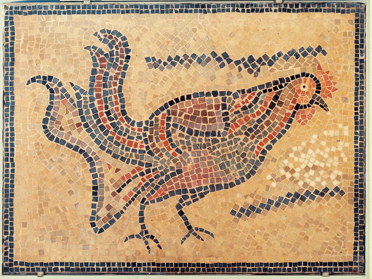 Hane, fra Tunis, sannsynligvis sent på 500-tallet e.Kr. (mosaikk) av Roman Roman