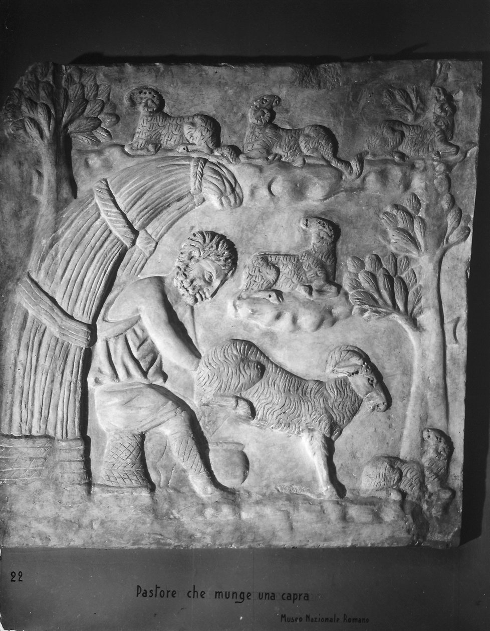 Hyrde som melker en geit, detalj fra en sarkofag av Roman Roman