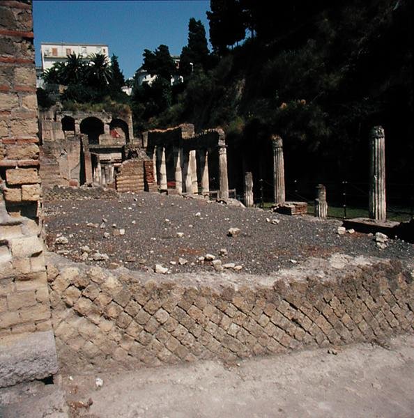 Palestra av Roman Roman