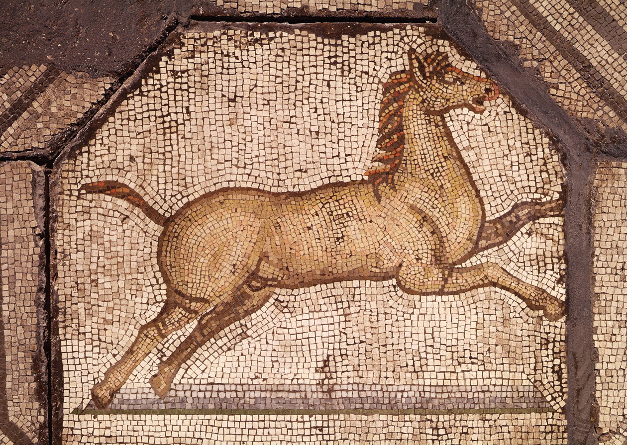 A Horse, detalj fra Orpheus Charming the Animals (mosaikk) av Roman