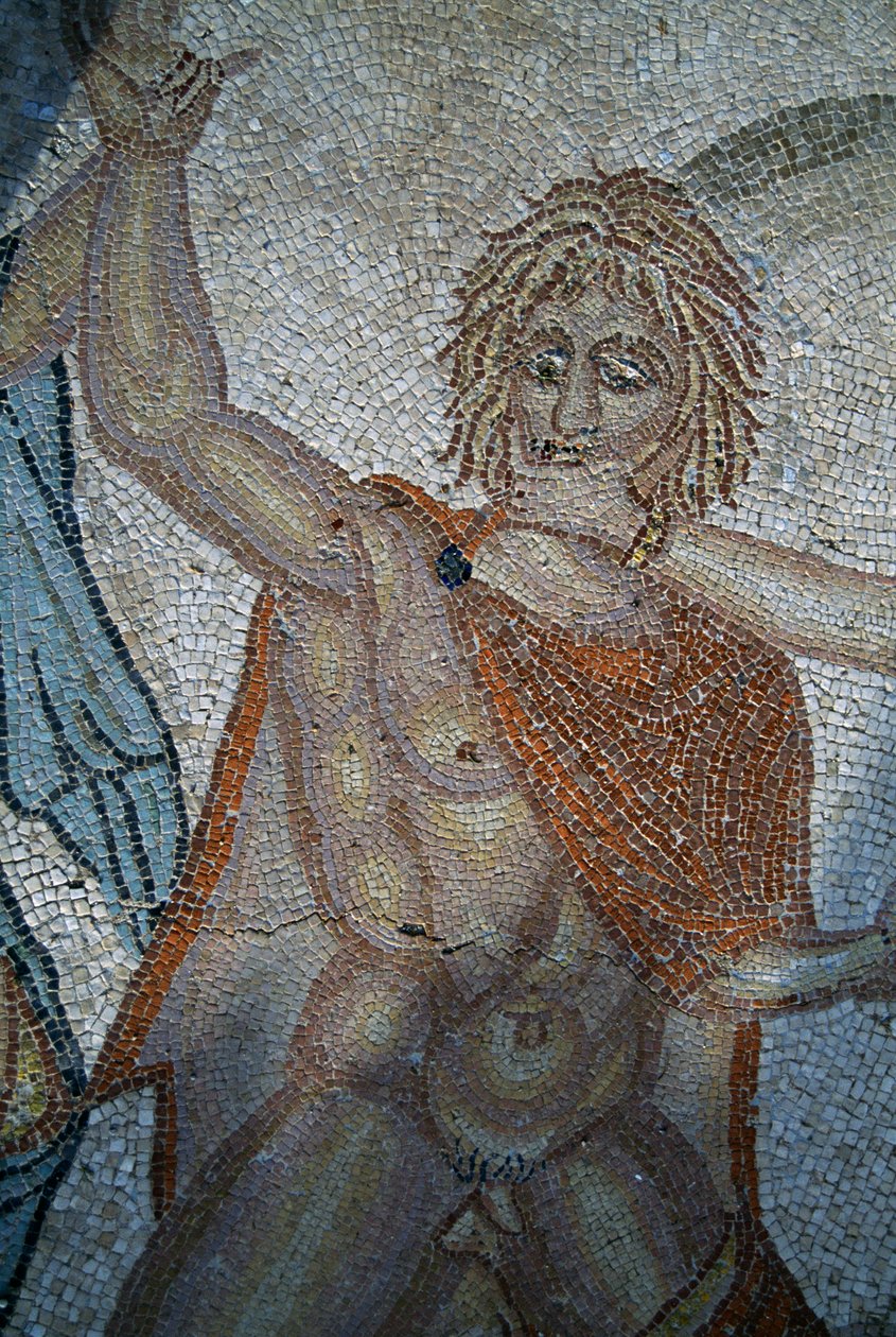 Bortføring av hylas av nymfer, mosaikk i House of Venus i den romerske byen Volubilis (UNESCOs verdensarvliste av Roman