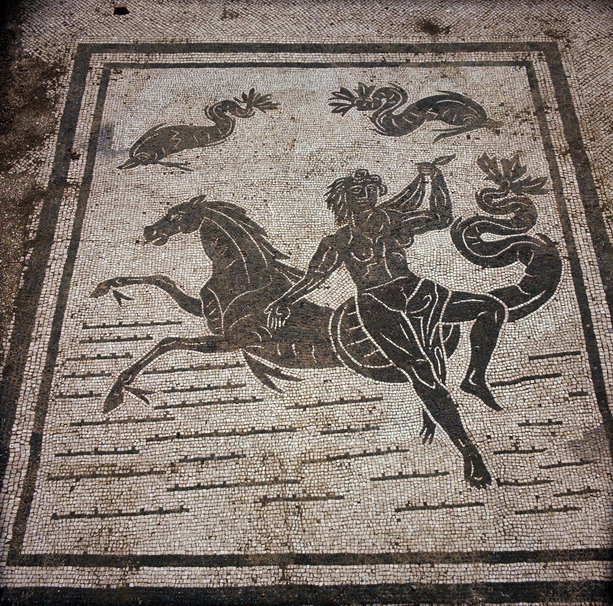 Gamle Ostia (Ostia). Place des Corporations. Mosaikk av Sabratha Seafarers Corporation. En nymfe og en marinehest. av Roman