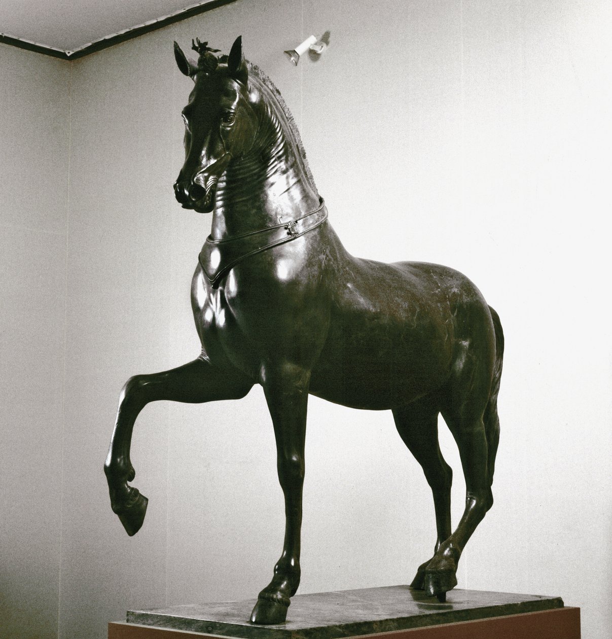 Romersk kunst: hestestatue (hesteskulptur) 1. århundres skulptur (bronse) av Roman