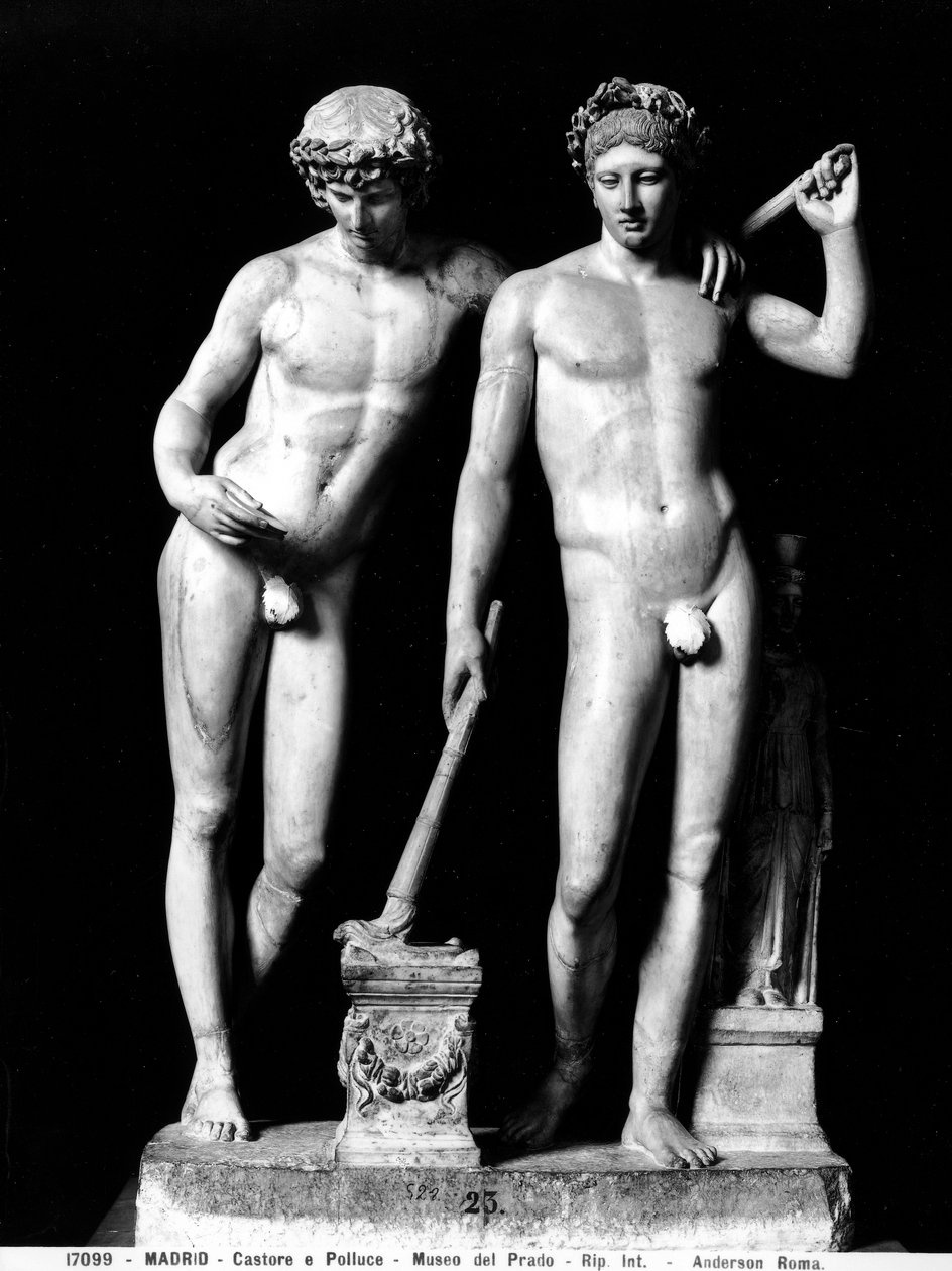 Castor og Pollux eller Orestes og Pylades, gruppe fra San Ildefonso (marmor) (s/hv-bilde) av Roman
