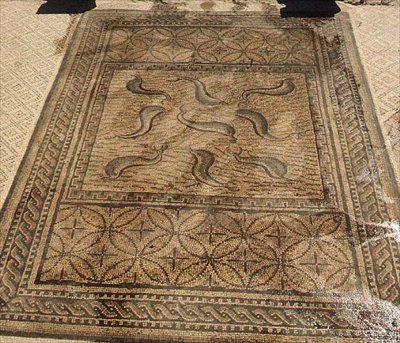 Delfiner, romersk mosaikk fra House of Orpheus, 3. århundre e.Kr. (mosaikk) av Roman