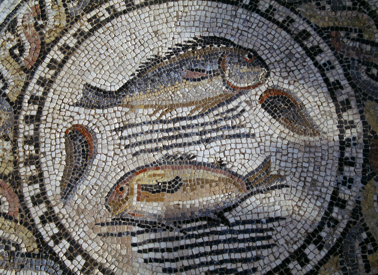 Fisk, mosaikk i den romerske byen Volubilis (UNESCOs verdensarvliste av Roman