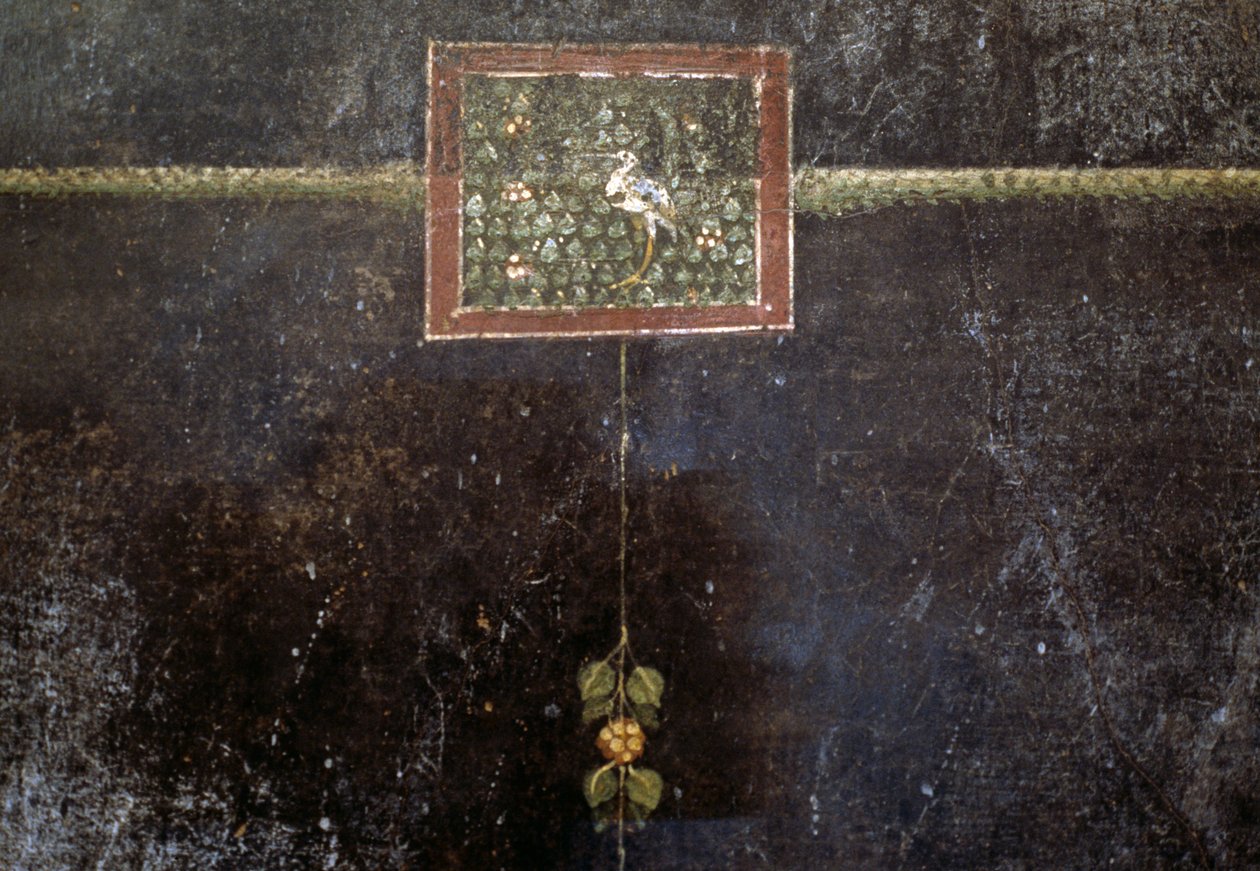 Fresker fra Villa Dei Misteri av Roman