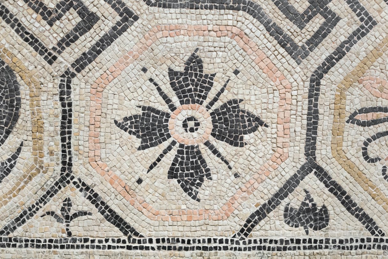 av Roman
