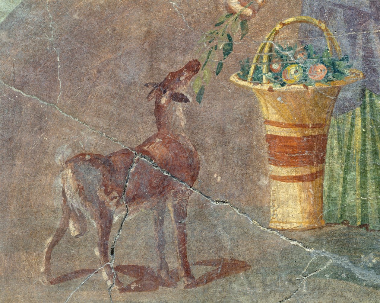 Geit og kurv med frukt, freskomaleri fra Pompeii, Campania, Italia, romersk sivilisasjon av Roman