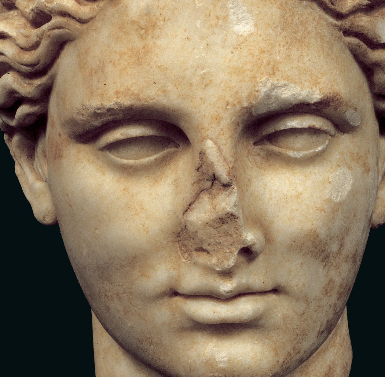 Leder av Apollo Sauroktonos (øglemorderen) kopi av en gresk bronse fra det 4. århundre av Praxiteles, funnet i Kifissia (marmor) (detalj av 271957) av Roman