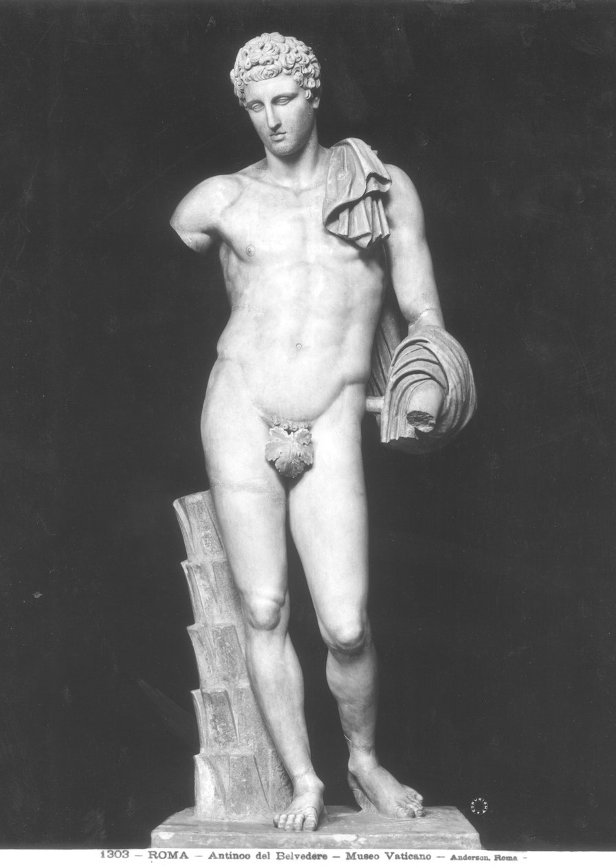 Hermes, kalt Antinous del Belvedere (marmor) (s/hvitt bilde) av Roman