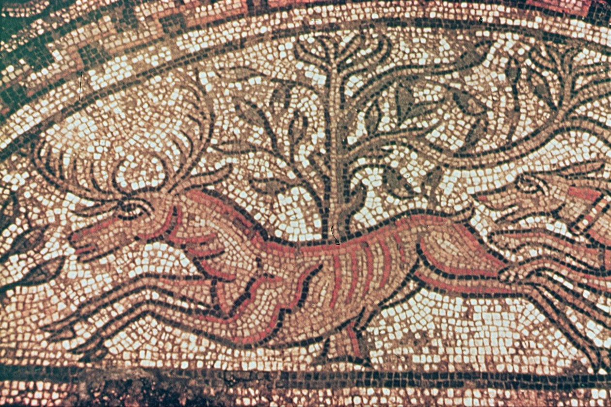 Hinton St. Mary fortau (detalj) ca. 350 e.Kr. (mosaikk) av Roman