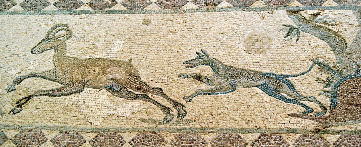 Jaktscene, House of Dionysos, Paphos, Kypros (mosaikk) av Roman