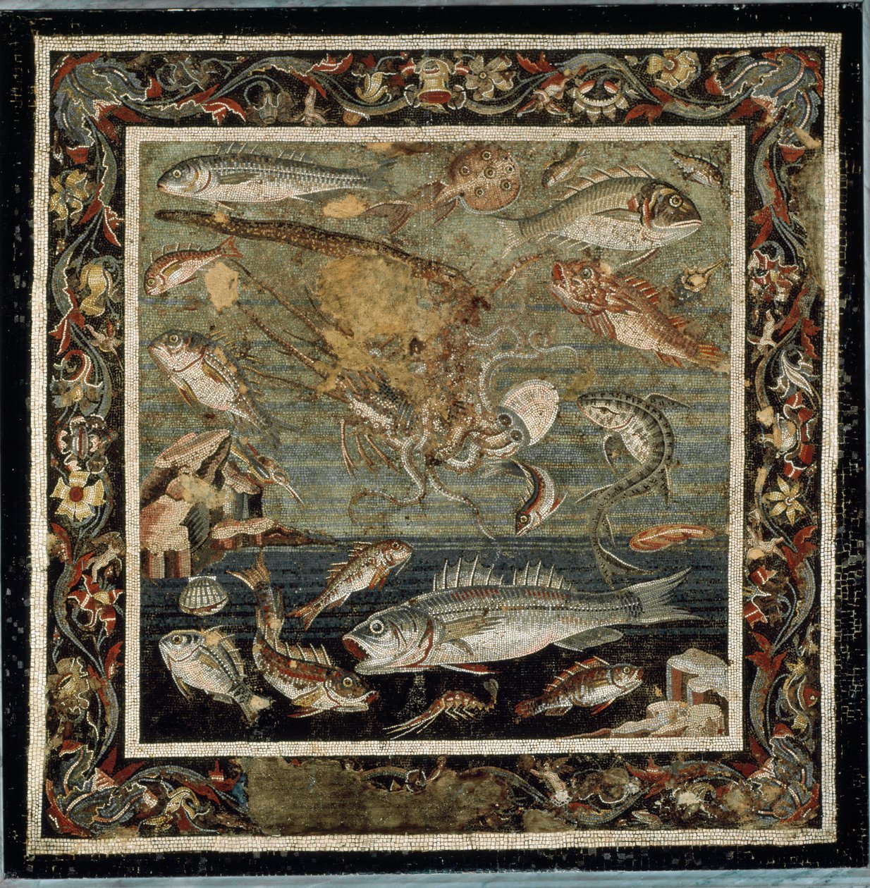 Marine liv (mosaikk av Roman
