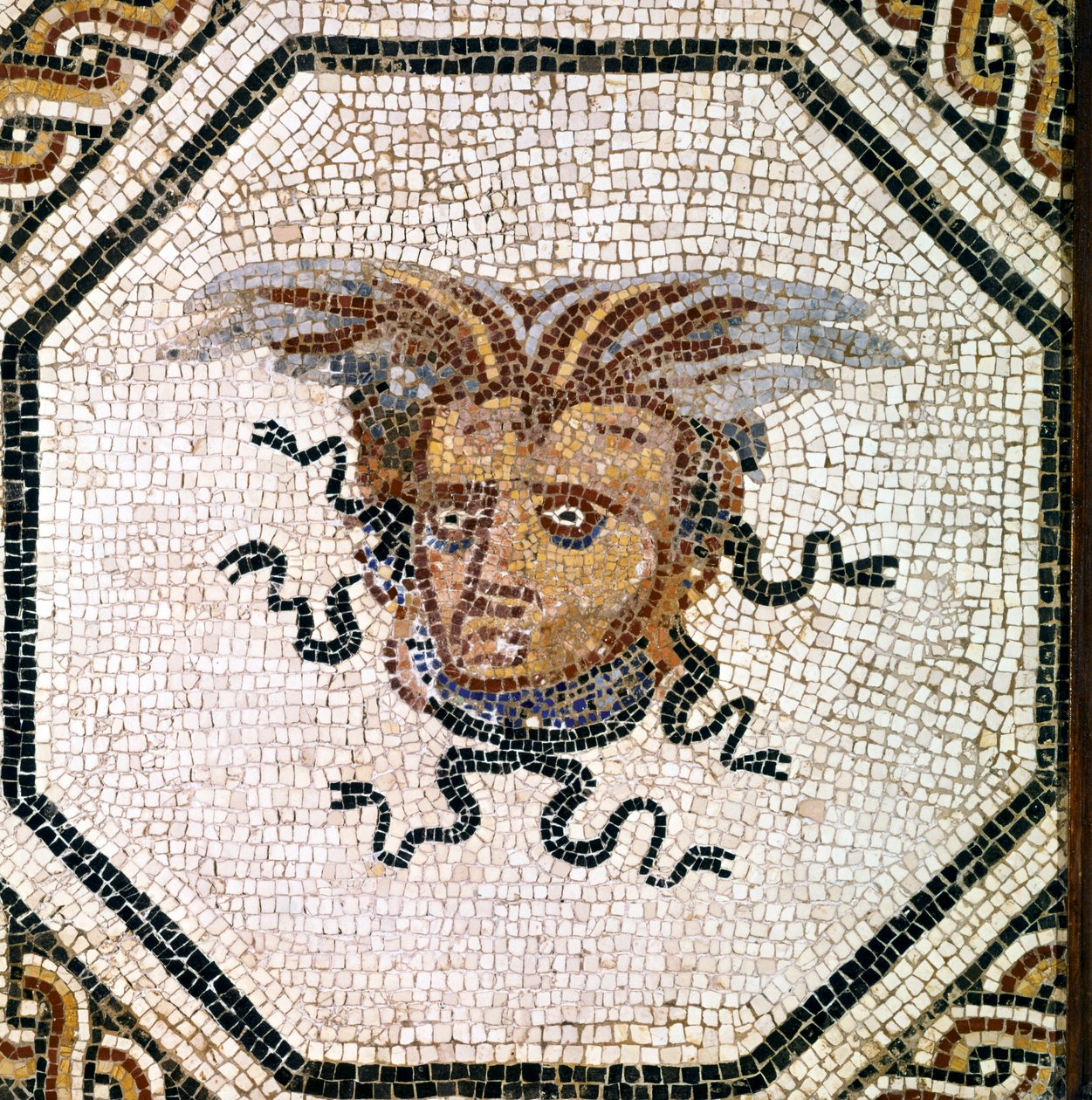 ROMANKUNSTEN: Medusa. av Roman