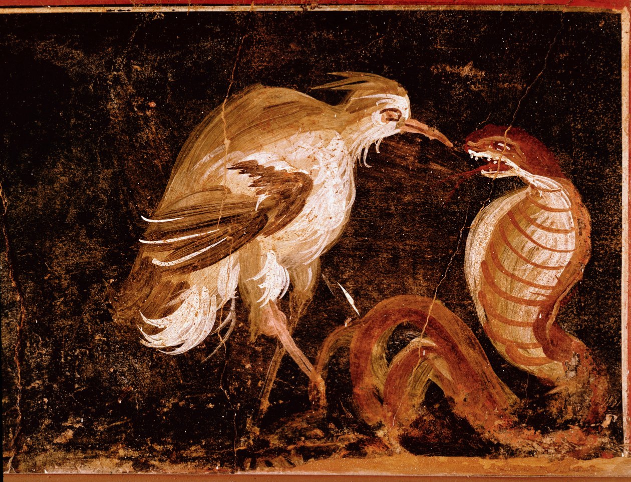 Romersk kunst: "" Kamp mellom en hegre og en kobra"" Romersk freskomaleri fra Epigrammenes hus, Pompei, Italia (Kamp mellom hegre og kobra, freskomaleri fra casa degli Epigrammi, Pompeii) 60-80 e.Kr. av Roman