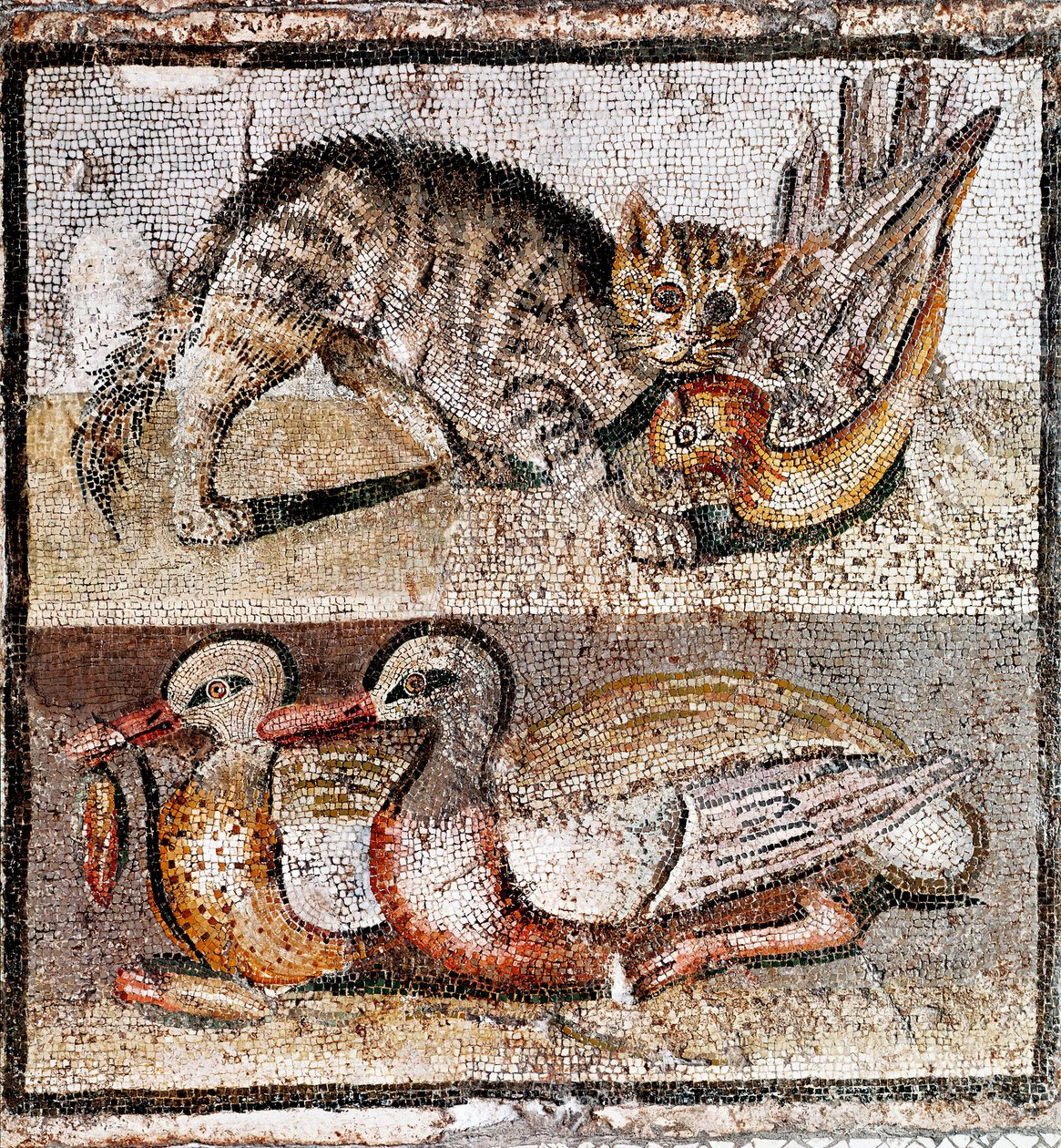 Romersk kunst: mosaikk som viser en villkatt som fanger en rapphøns og to ender. 200-150 f.Kr. Roma, Museo Nazionale Romano - Romersk kunst: mosaikk som viser en villkatt som fanger en rapphøns og to ender. 200-150 f.Kr. Museo Nazionale Romano, Roma, Itali av Roman