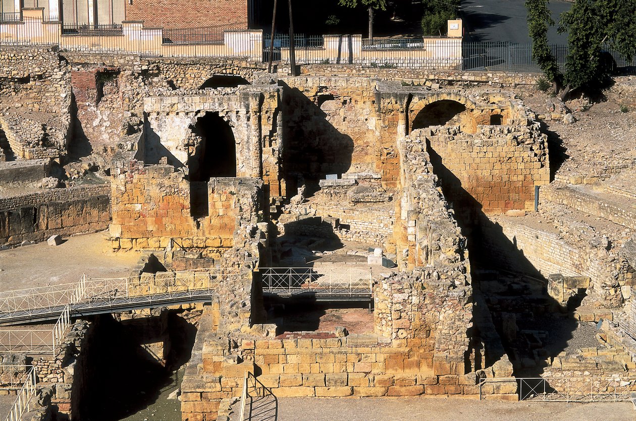 Romersk amfiteater, Tarragona, Catalonia, Spania av Roman