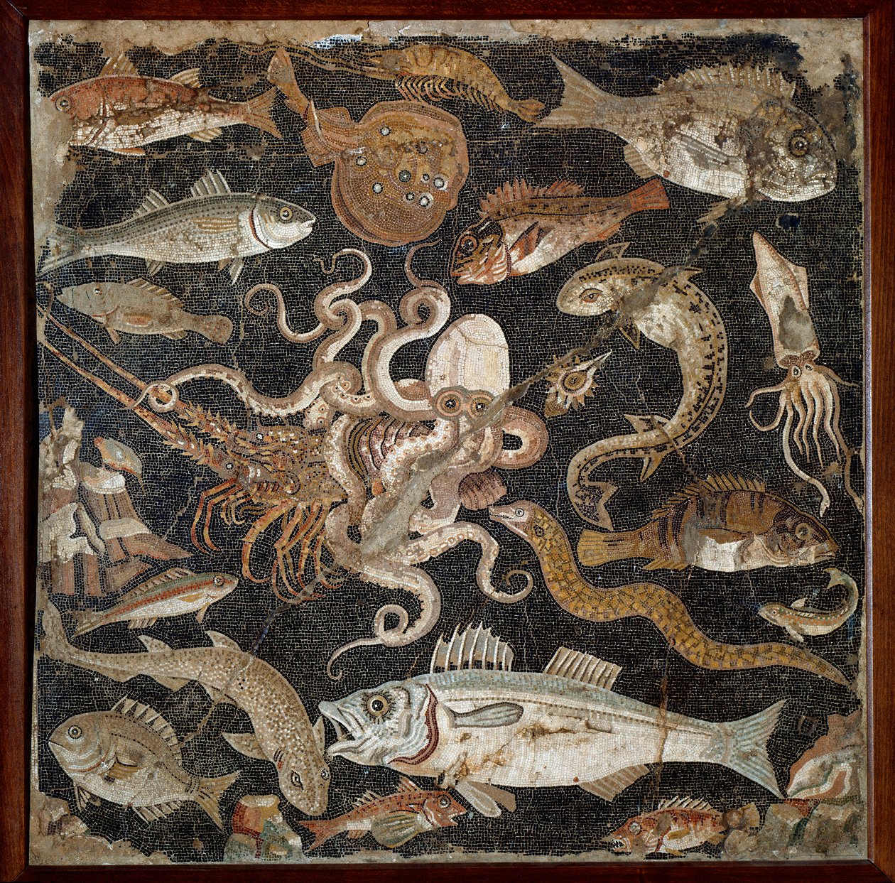 Romersk kunst: "" Marine fauna"" Mosaikk fra det 2. århundre. Napoli, Nasjonalt arkeologisk museum, inv. 120177 - Romersk kunst: Marine liv. Mosaikk fra det 2. århundre f.Kr. Nasjonalt arkeologisk museum, inv. 120177, Napoli, Italia. av Roman