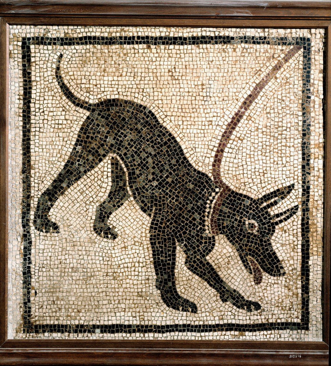 Romersk kunst: "" canem cave"" av Roman