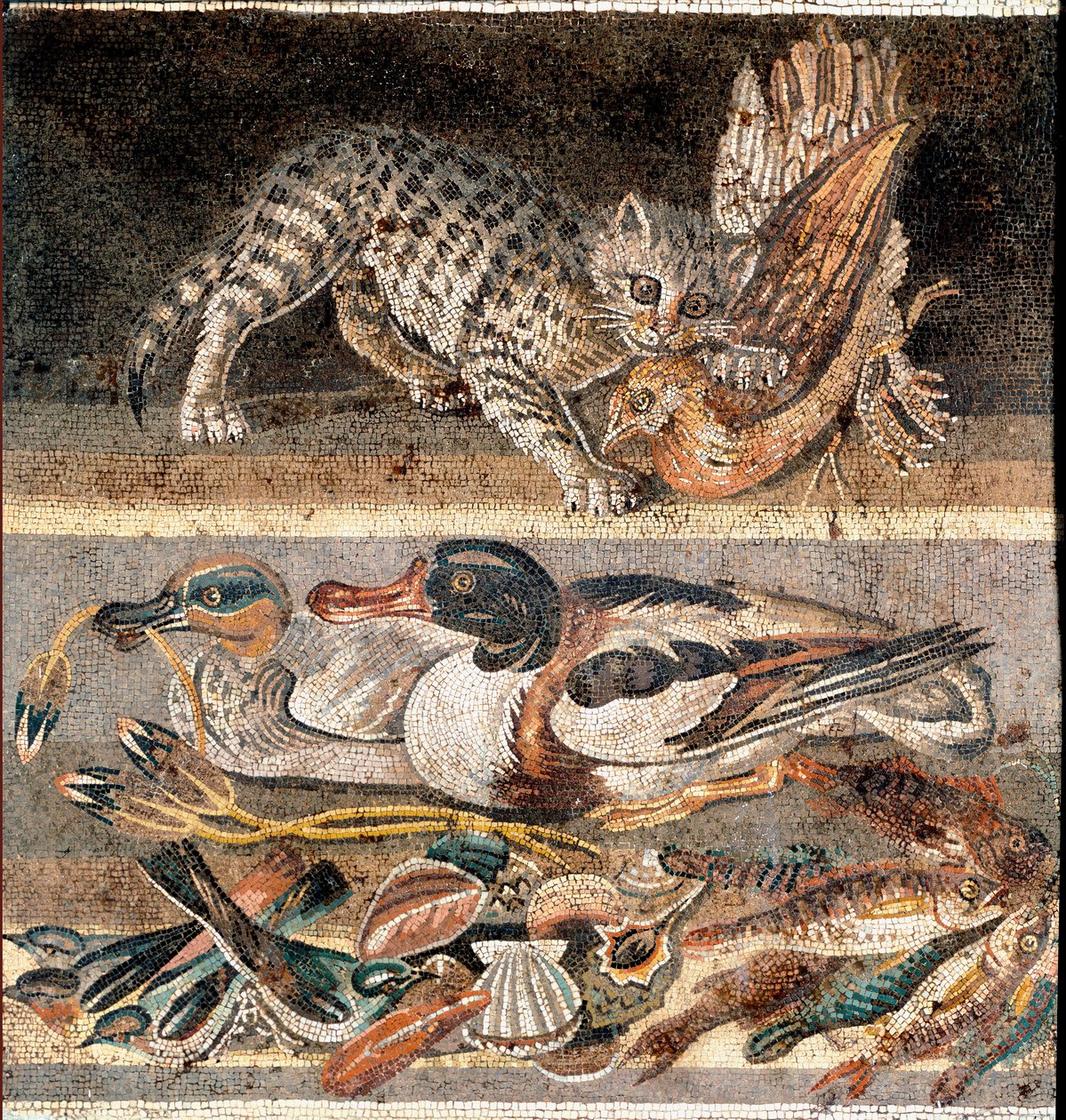 Romersk kunst: katt som spiser en rapphøne og villender Første halvdel av 1. f.Kr.) Roma, Museo Nazionale Romano av Roman