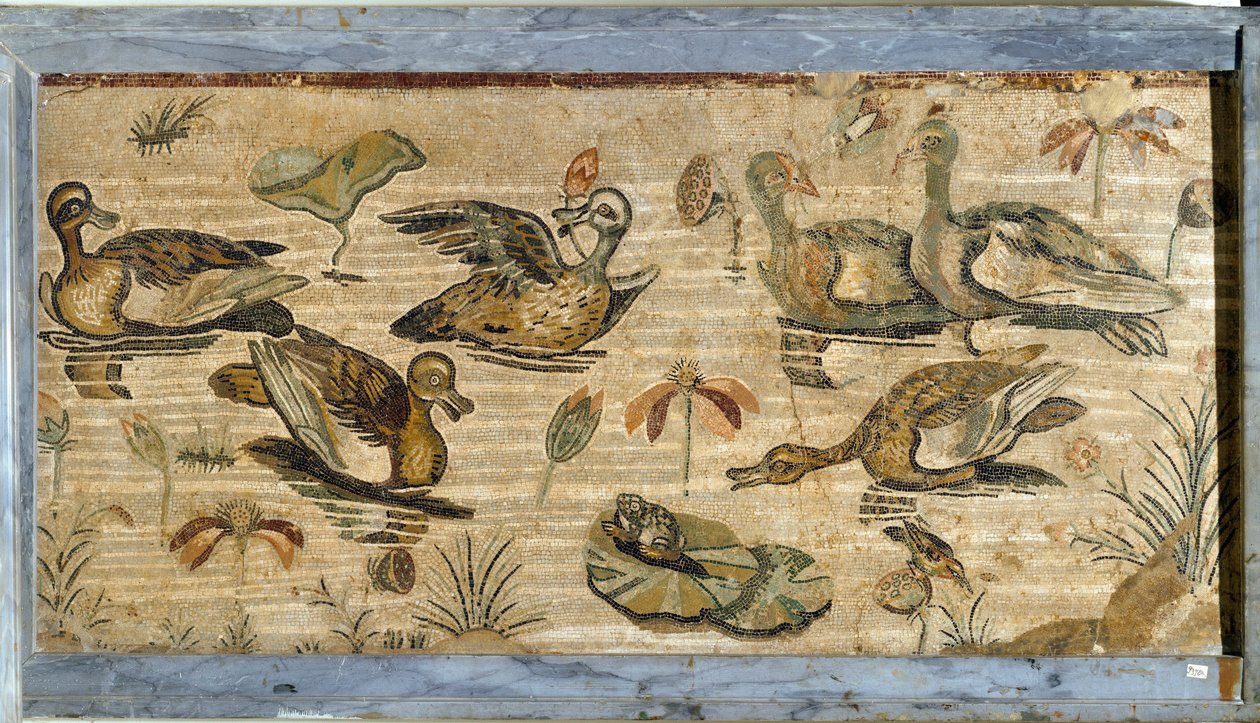 Romersk kunst: and, frosk og vannliljer i en dam. Mosaikk fra faunavillaen i Pompei. 1. århundre. Dim. 132x164 cm. Museo Archeologico Nazionale, Napoli av Roman