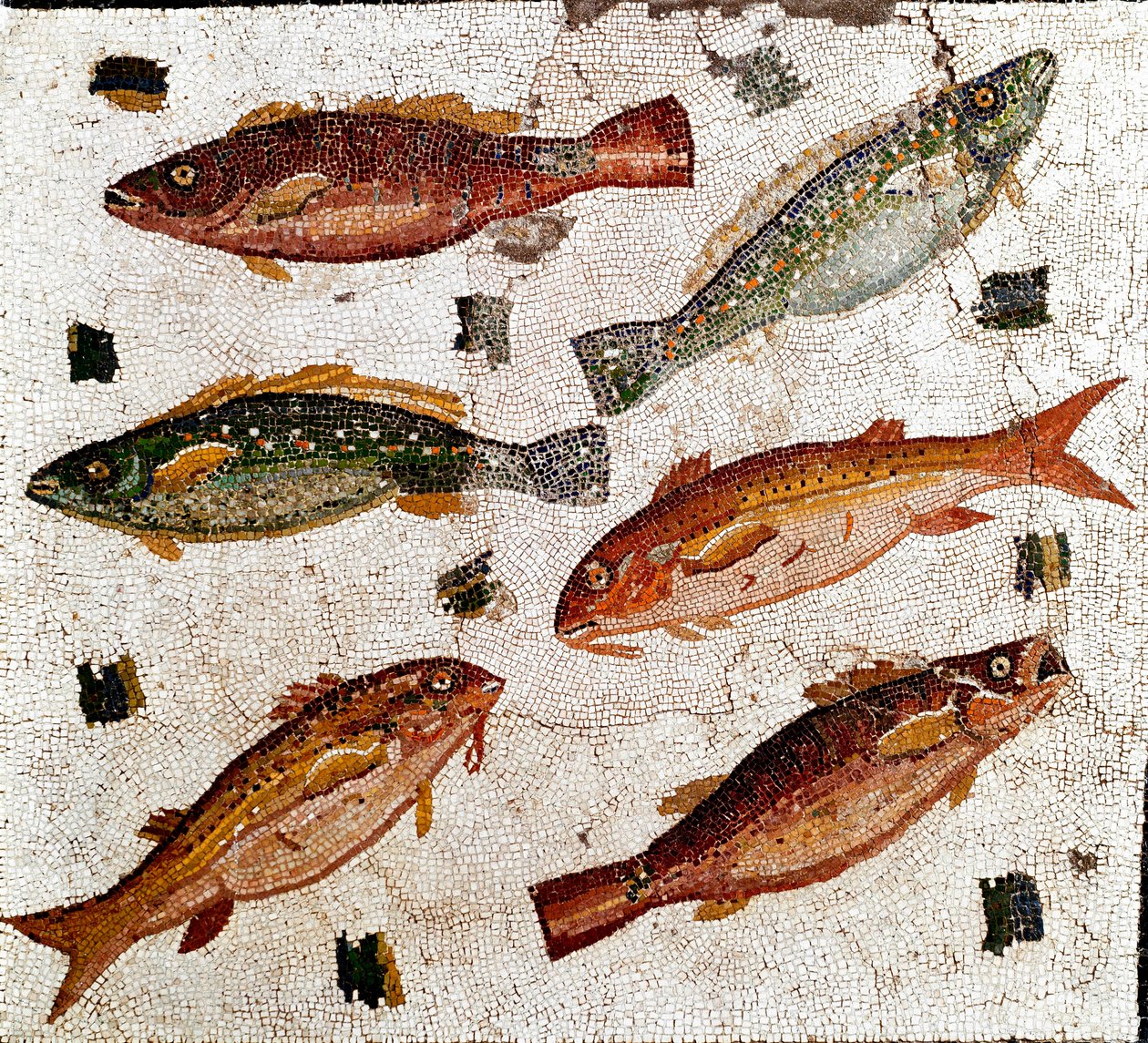 Romersk kunst: mosaikk som representerer fisk. 1. århundre f.Kr. Roma, Museo Nazionale Romano - Romersk kunst: Mosaikk som viser fisk. 1. århundre f.Kr. Museo Nazionale Romano, Roma, Italia av Roman