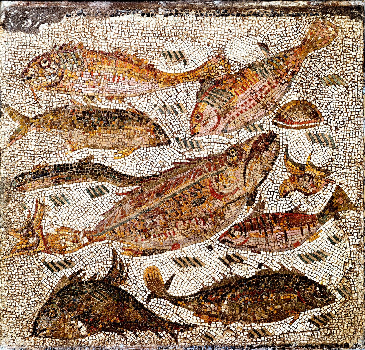 Romersk kunst: mosaikk som representerer fisk. 1. eller 2. århundre e.Kr. Fra Villa dei Settimii på Via Cassia. Roma, Museo Nazionale Romano -romersk kunst: mosaikk som viser fisk. 1. eller 2. århundre e.Kr. Fra Villa dei Settimii, Via Cassia. Nasjonalt ro av Roman