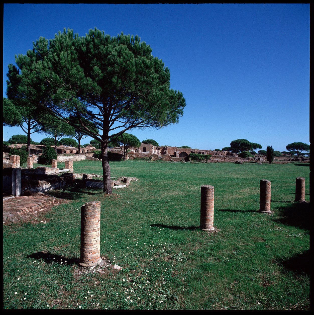 Romersk kunst: utsikt over ruinene av Campo della Magna Mater, region IV av Roman